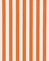 Andy Stripe Orange by   