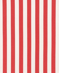 Andy Stripe Red by   
