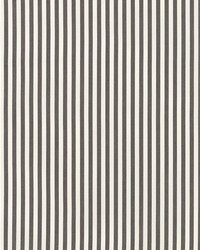 Brigitte Stripe Charcoal by  Schumacher Fabric 