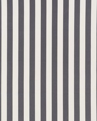James Stripe Charcoal by  Schumacher Fabric 