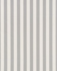 James Stripe Grey by  Schumacher Fabric 