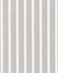 Jean Stripe Grey by  Schumacher Fabric 