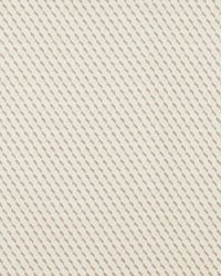 Sullivan Taupe by  Schumacher Fabric 