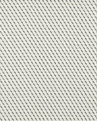 Sullivan Black by  Schumacher Fabric 