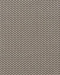 Anatole Charcoal by  Schumacher Fabric 