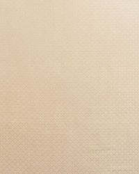 Ashton Champagne by  Schumacher Fabric 