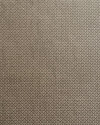 Ashton Flint by  Schumacher Fabric 