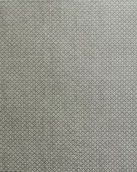 Ashton Mercury by  Schumacher Fabric 