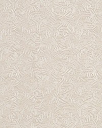 Baker Sandstone by  Schumacher Fabric 