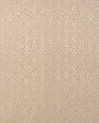 Apollo Moonstone by  Schumacher Fabric 