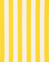 Cabana Stripe Yellow by  Schumacher Fabric 