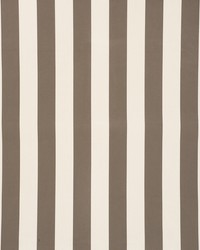 Cabana Stripe Taupe by  Schumacher Fabric 
