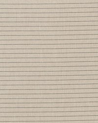 Manning Stripe Black/natural by  Schumacher Fabric 