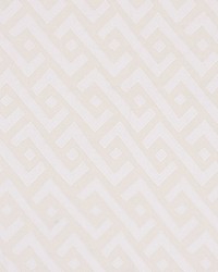 Safari Ivory by  Schumacher Fabric 