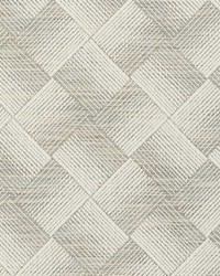Ashberg Moonstone by  Schumacher Fabric 