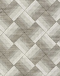 Ashberg Charcoal by  Schumacher Fabric 