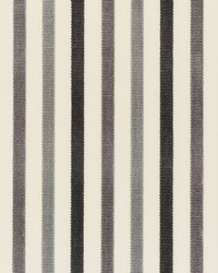 Le Matelot Charcoal by  Schumacher Fabric 