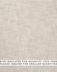 Belmont Sheer Grey by  Schumacher Fabric 