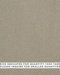 Lexington Ash by  Schumacher Fabric 