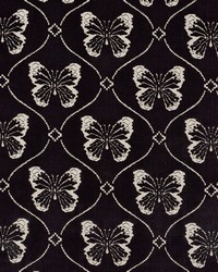 Papillon Velvet Onyx by  Schumacher Fabric 