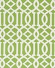 Schumacher Fabric IMPERIAL TRELLIS INDOOR/OUTDOOR LEAF