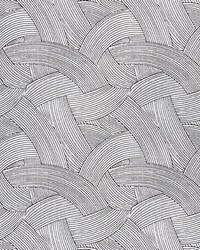 Tempesta Graphite by  Schumacher Fabric 