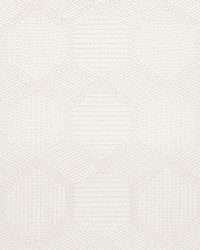 Tortuga Embroidery Ivory by  Schumacher Fabric 