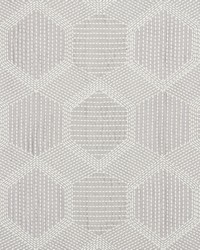 Tortuga Embroidery Grey by  Schumacher Fabric 