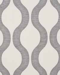 Ondata Charcoal by  Schumacher Fabric 