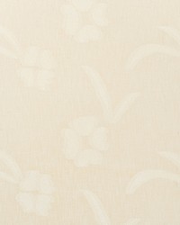 Terra Parchment by  Schumacher Fabric 