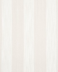 Arroyo Stripe Natural by  Schumacher Fabric 
