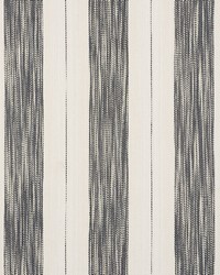 Arroyo Stripe Charcoal by  Schumacher Fabric 