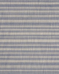 Petra Stripe Indigo by  Schumacher Fabric 