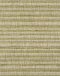 Petra Stripe Grass by  Schumacher Fabric 