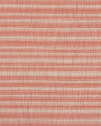 Petra Stripe Clay by  Schumacher Fabric 