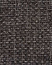 Morrow Charcoal by  Schumacher Fabric 