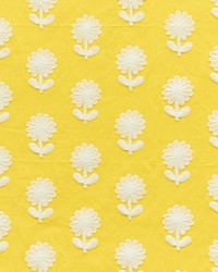 Paley Embroidery Yellow by   