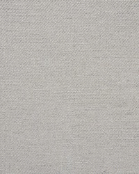 Hurston Slate by  Schumacher Fabric 