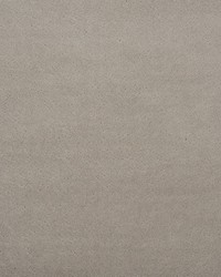 Regal Mohair Dove by  Schumacher Fabric 