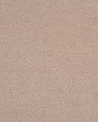 Regal Mohair Parchment by  Schumacher Fabric 