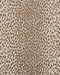 Cheetah Velvet Natural by  Schumacher Fabric 