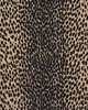 Schumacher Fabric CHEETAH VELVET EBONY