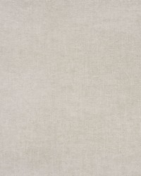 Franco Linen-blend Chenille Driftwood by  Schumacher Fabric 
