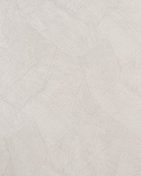 Burnett Pewter by  Schumacher Fabric 