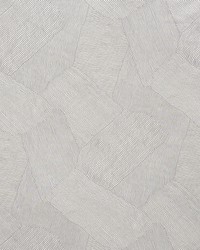 Burnett Dove by  Schumacher Fabric 