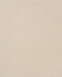 Stingray Champagne by  Schumacher Fabric 