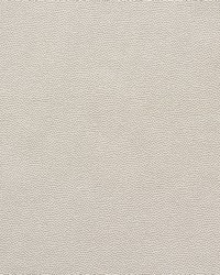 Stingray Pewter by  Schumacher Fabric 