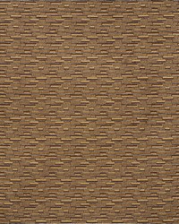 Porter Velvet Sable by  Schumacher Fabric 