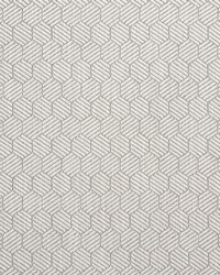 Abaco Grey by  Schumacher Fabric 