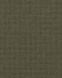 15731 30  by  Kravet 